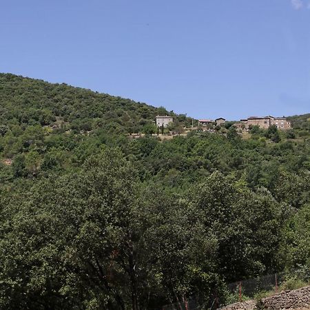 Gites Du Mas Icard Anduze Exterior photo